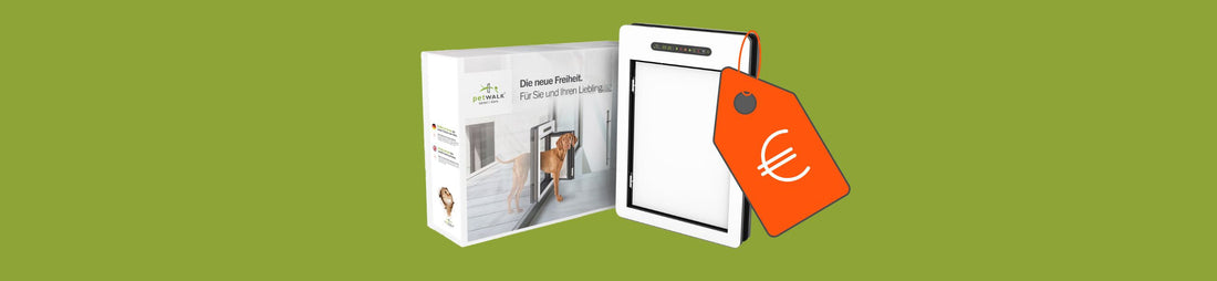 „Geht das nicht günstiger?“ – Unsere ehrliche Antwort.