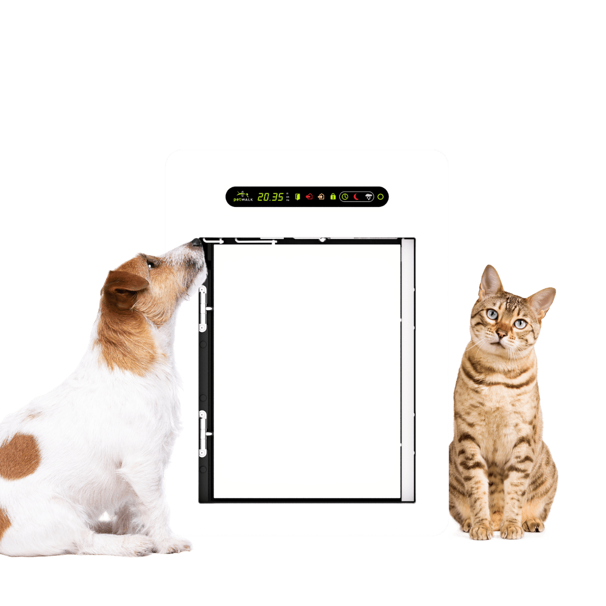 Eine Katze und ein kleiner Hund sitzen neben einer medium petWALK Tiertüre.