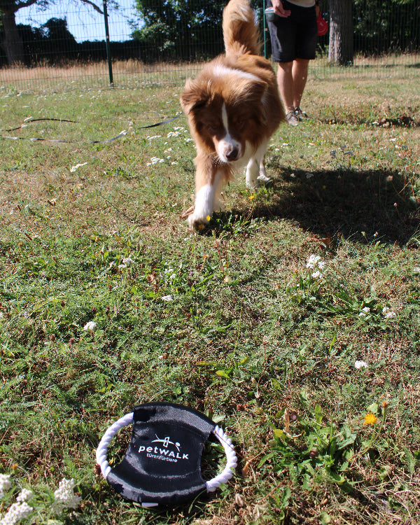 petWALK Hunde Wurfscheibe